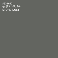 #636660 - Storm Dust Color Image